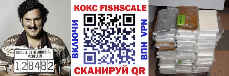 COCAIN Fish Scale  Купить где  Сальск 