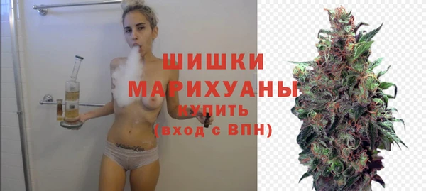 гидра Каменногорск