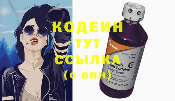 гидра Каменногорск