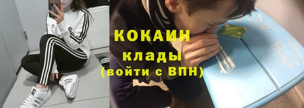гидра Каменногорск