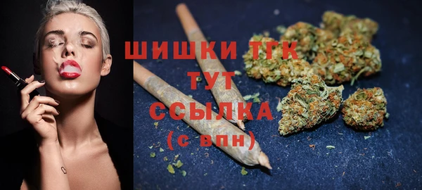 гидра Каменногорск