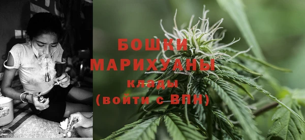 молекула духа Каменск-Шахтинский
